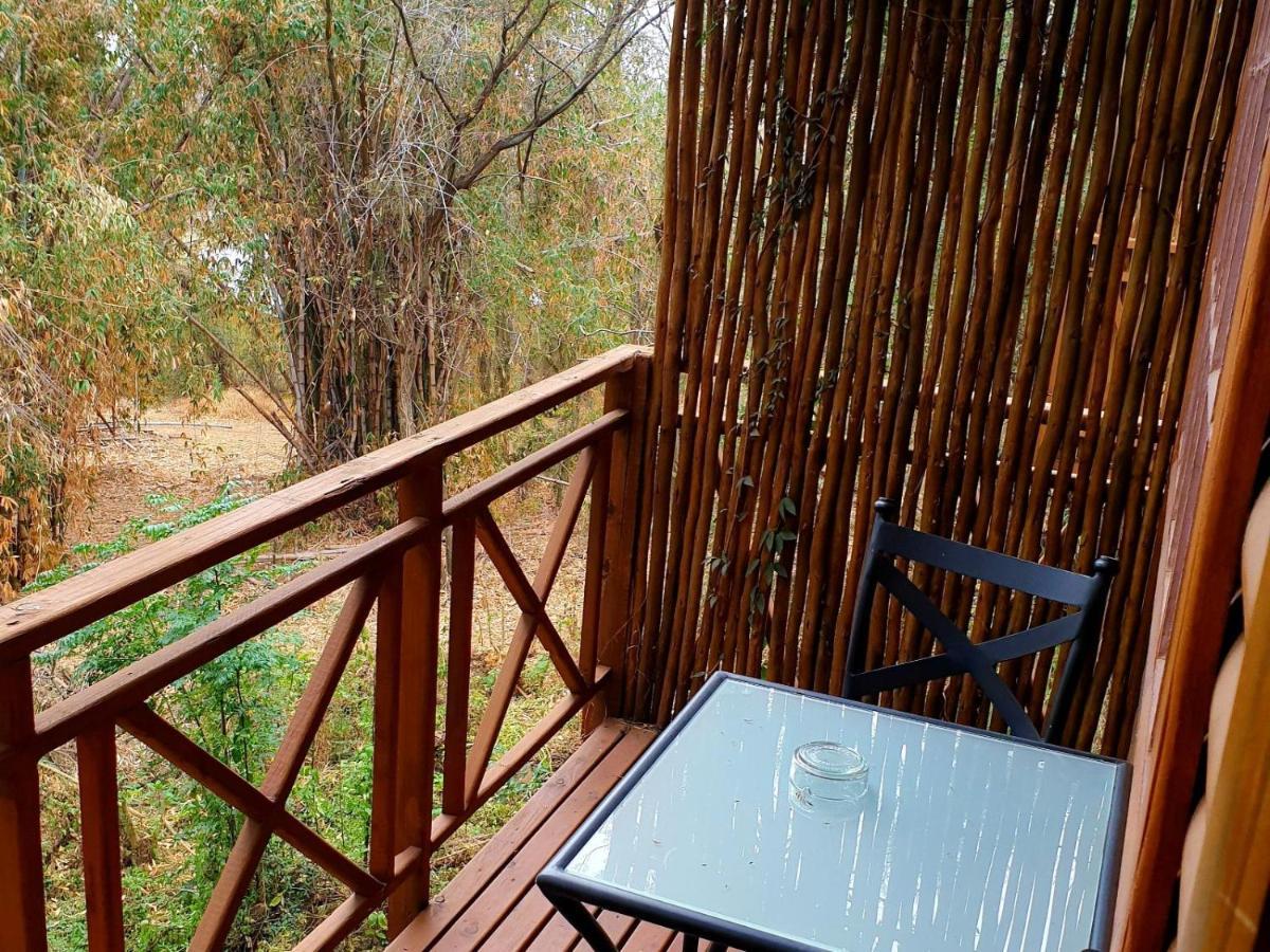 Haggards On Hilldrop Bed and Breakfast Newcastle Εξωτερικό φωτογραφία