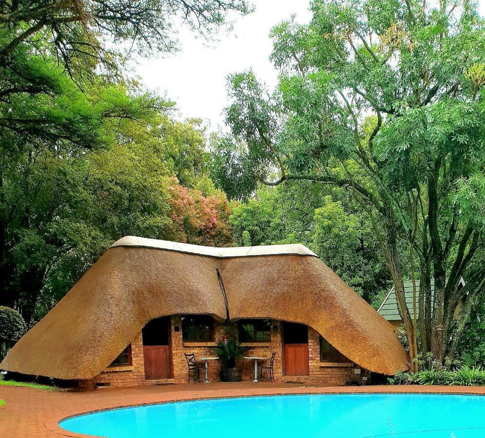 Haggards On Hilldrop Bed and Breakfast Newcastle Εξωτερικό φωτογραφία
