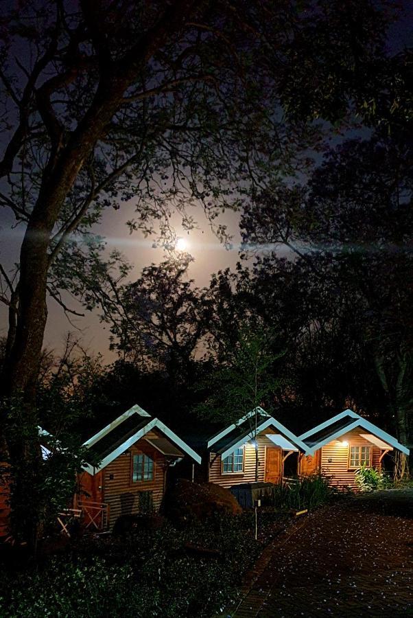 Haggards On Hilldrop Bed and Breakfast Newcastle Εξωτερικό φωτογραφία