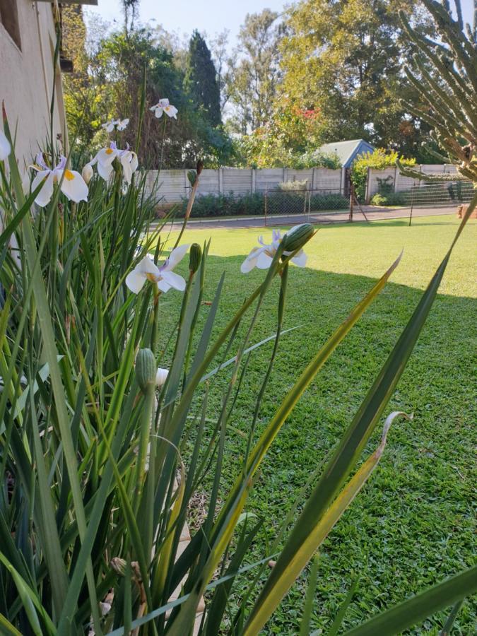 Haggards On Hilldrop Bed and Breakfast Newcastle Εξωτερικό φωτογραφία