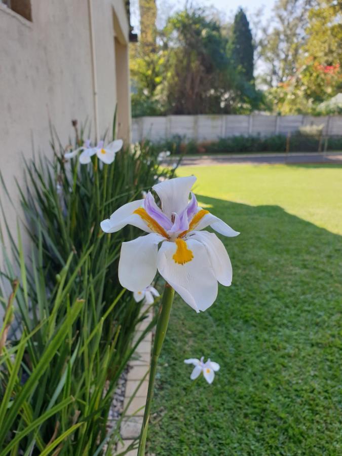 Haggards On Hilldrop Bed and Breakfast Newcastle Εξωτερικό φωτογραφία